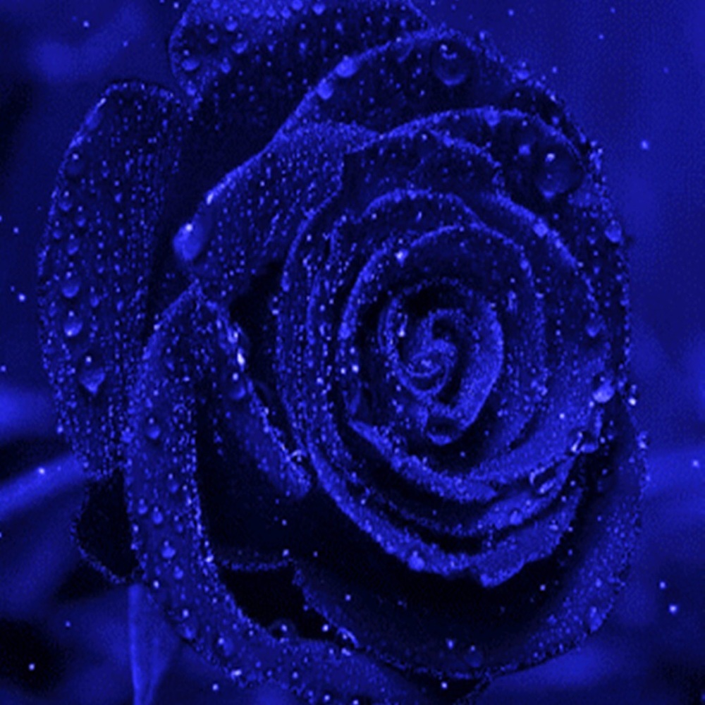 Meet your Posher, Lorenzo